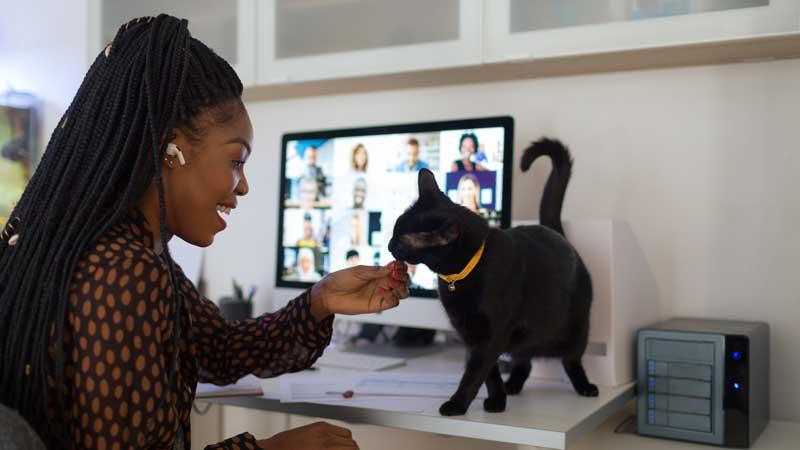 young women working from home on a video call with her pet cat