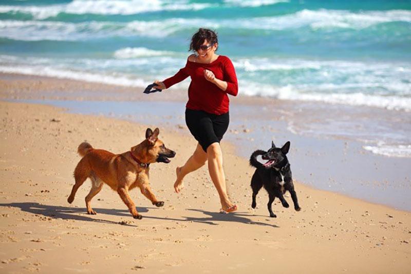 狗女人跑海滩